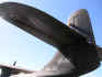 blkcat_024.jpg (59576 bytes)