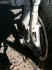 blkcat_038.jpg (74436 bytes)