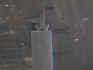 blkcat_086.jpg (53164 bytes)
