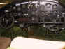 auscat-15.jpg (45919 bytes)