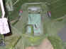 auscat-1.jpg (44829 bytes)