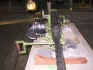 auscat-25.jpg (39871 bytes)