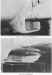 33.jpg (55724 bytes)