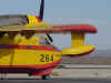 17.jpg (64338 bytes)