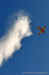Pic-3.jpg (52446 bytes)