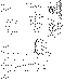Plans2r.gif (35348 bytes)