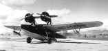 DolphinBBoeing.jpg (38930 bytes)