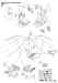 Instruction Page.jpg (218011 bytes)
