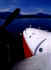 nose.jpg (54718 bytes)