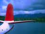 tail01.jpg (194878 bytes)