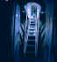 ladder.jpg (147354 bytes)