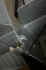 s56-14.jpeg (38598 bytes)