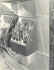 97.jpg (347555 bytes)