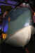 7.jpg (105957 bytes)