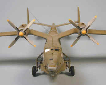 Be-12_04.jpg (38105 bytes)