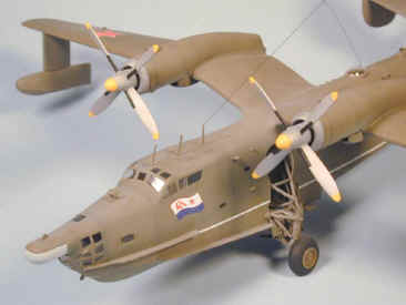 Be-12_12.jpg (41703 bytes)