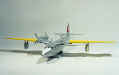 Do-26_02.jpg (27906 bytes)