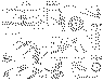 005.gif (27880 bytes)