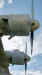 14.JPG (381398 bytes)