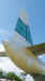 5.JPG (426293 bytes)